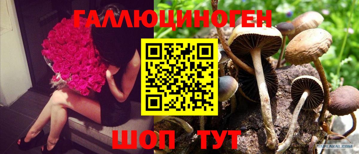 Псилоцибиновые грибы GOLDEN TEACHER Сорочинск